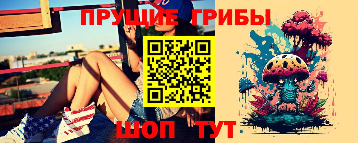 Псилоцибиновые грибы прущие грибы Шатура